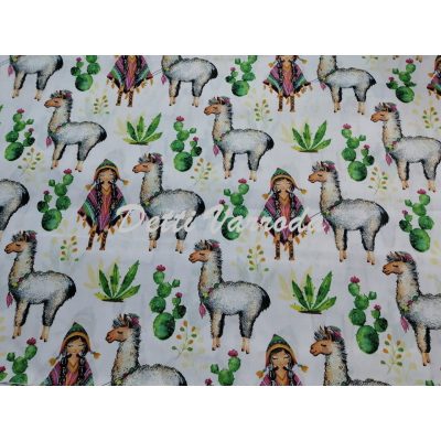 Indián lány lámával