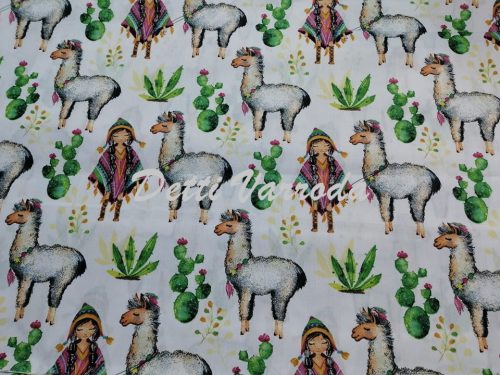 Indián lány lámával